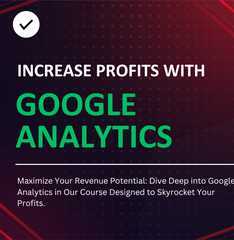 Increase Profits With Google Analytics | Vidos | Audio